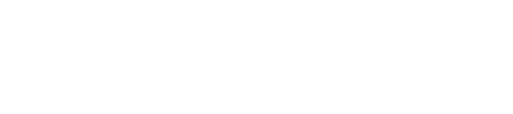 PhysioVitalis logo