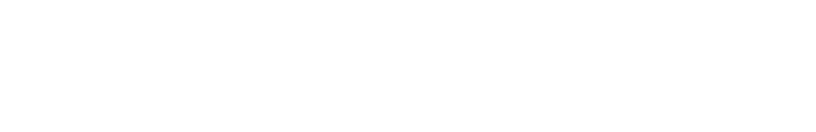 PhysioVITALIS Logo weiß